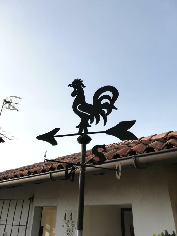 Terrazza Sul Lago Ameno Dış mekan fotoğraf